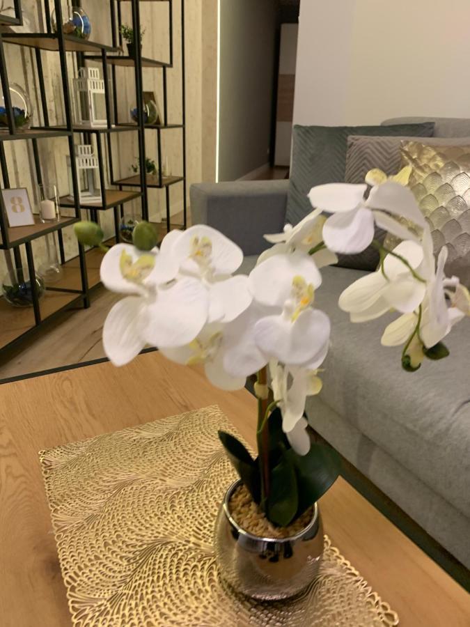 Moderno Apartament *